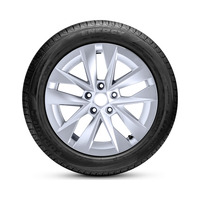 225/55  R19  Pirelli Formula Energy 99V Вид 2