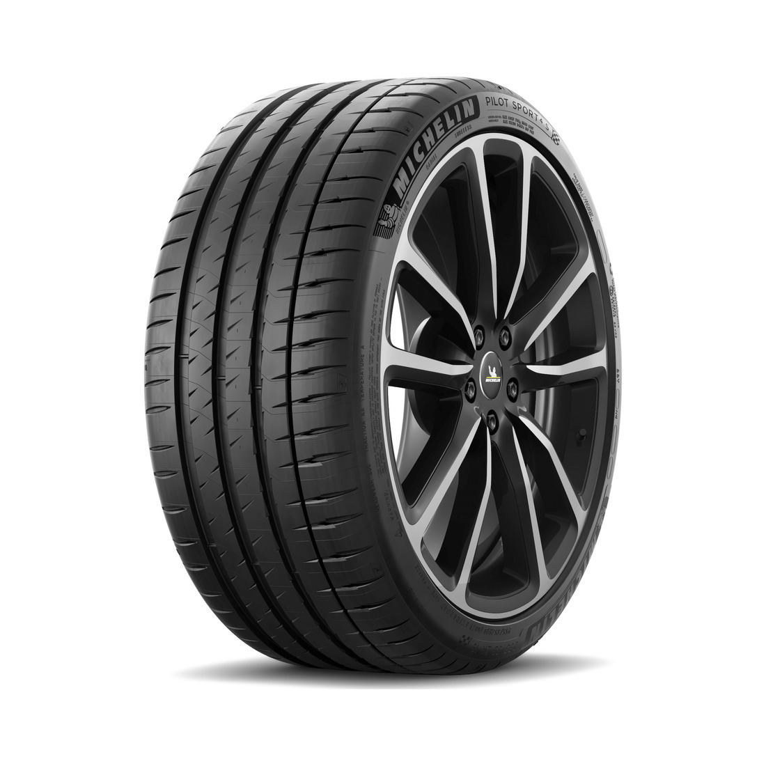 245/45  R19  Michelin Pilot Sport 4S 102Y Вид 0